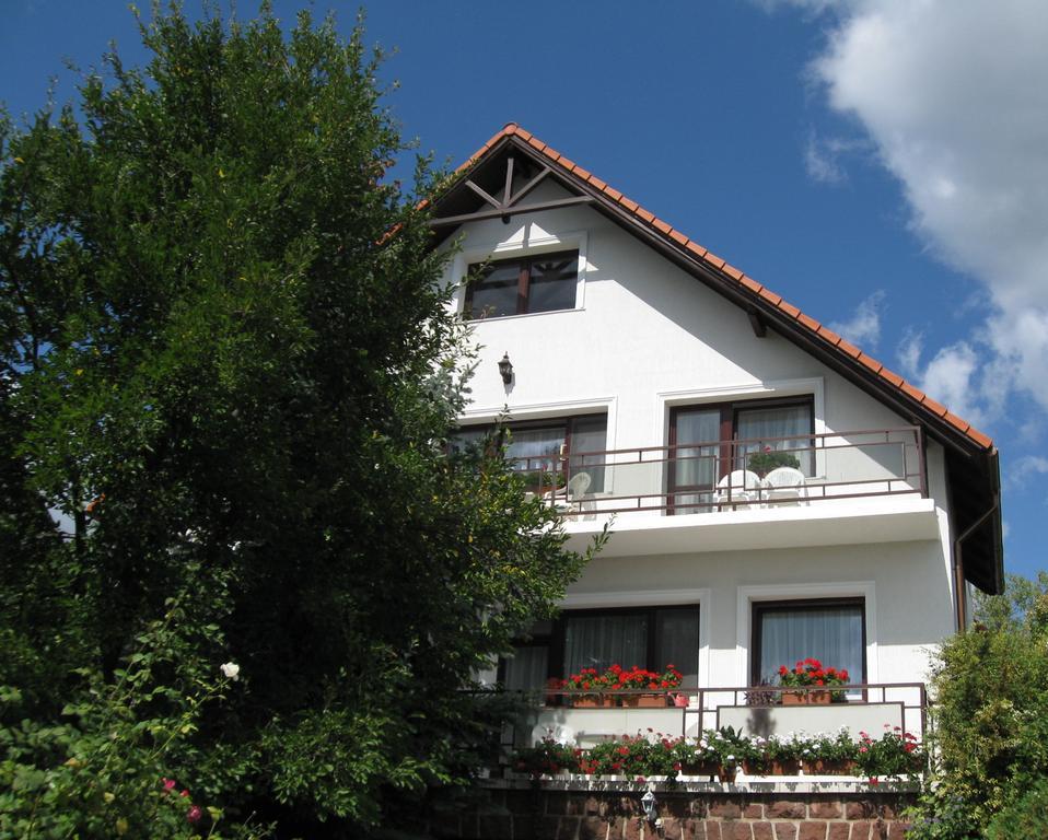 Barcza Vendeghaz Hotel Balatonfüred Екстериор снимка