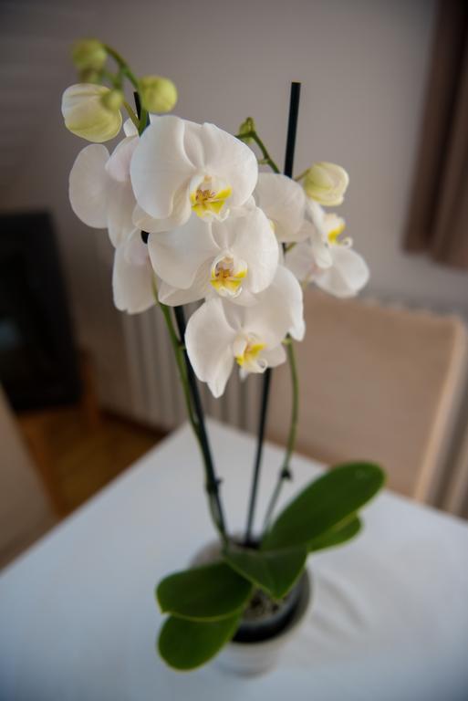 Barcza Vendeghaz Hotel Balatonfüred Екстериор снимка